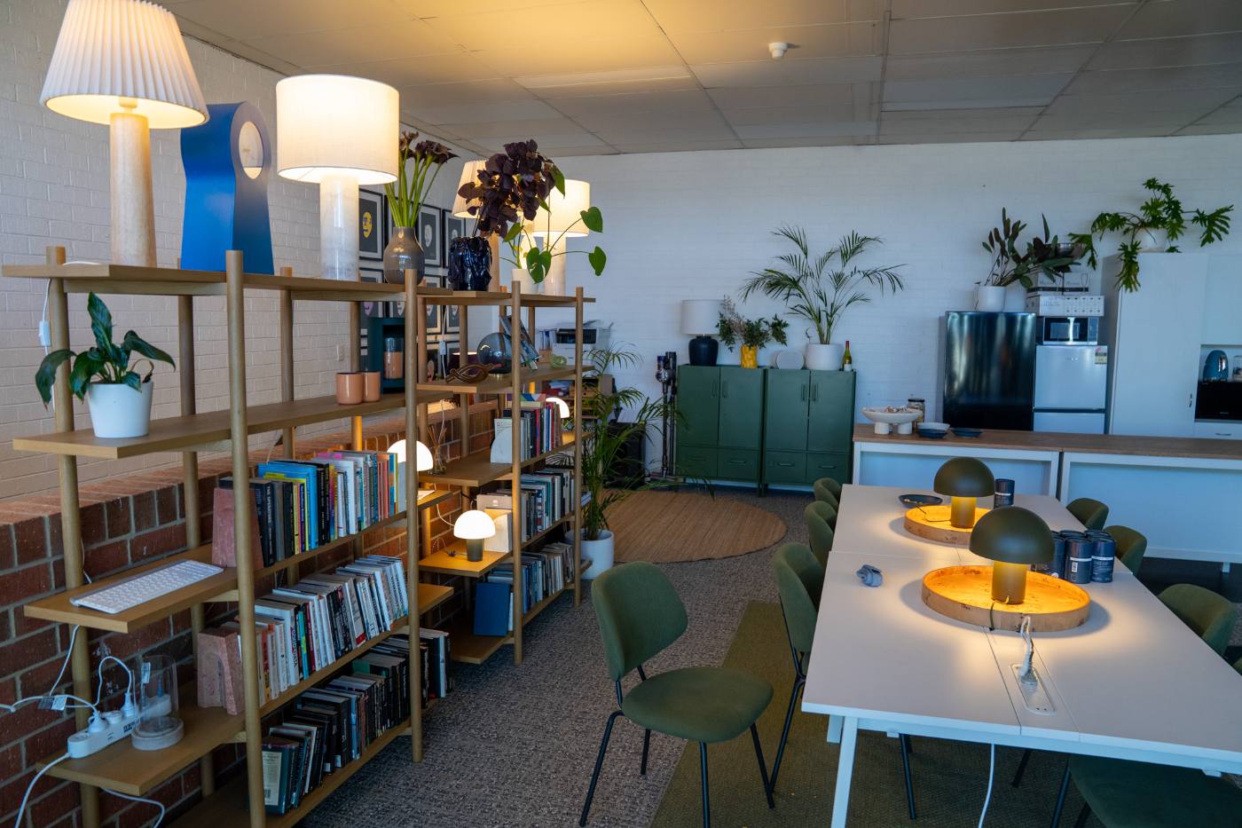 The office library shelves with lamps and plants